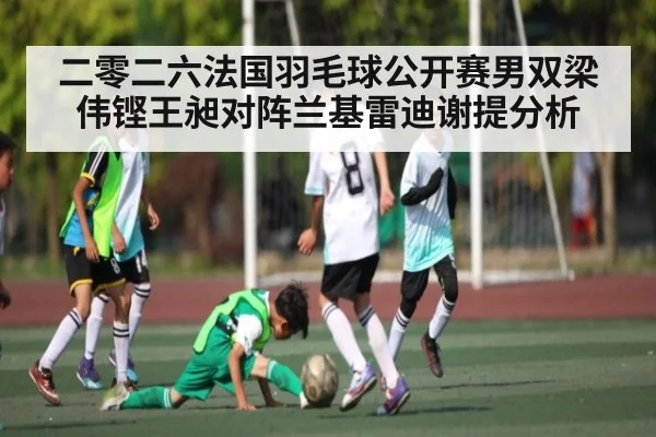 二零二六法国羽毛球公开赛男双梁伟铿王昶对阵兰基雷迪谢提分析 | kaiyun